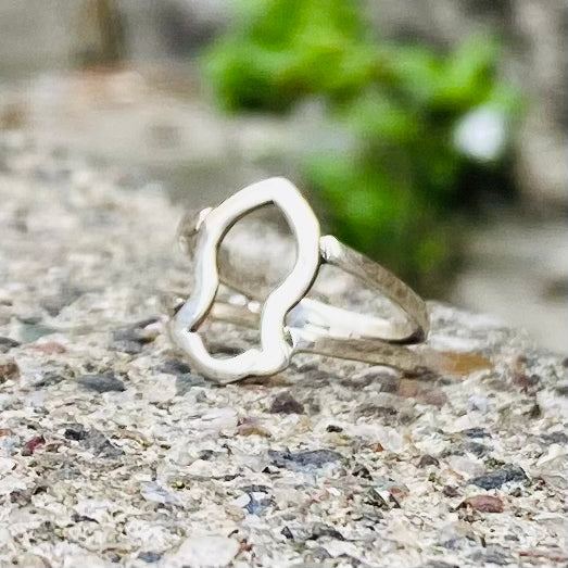 The Noble Sandal of the Prophet