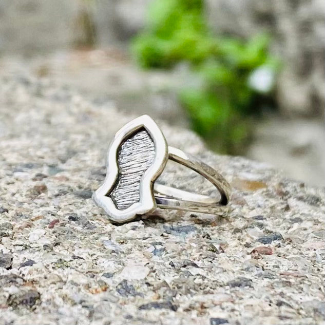 The Noble Sandal of the Prophet