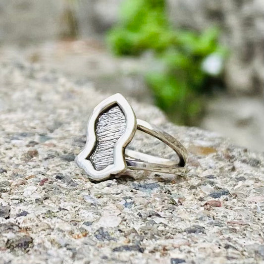 The Noble Sandal of the Prophet