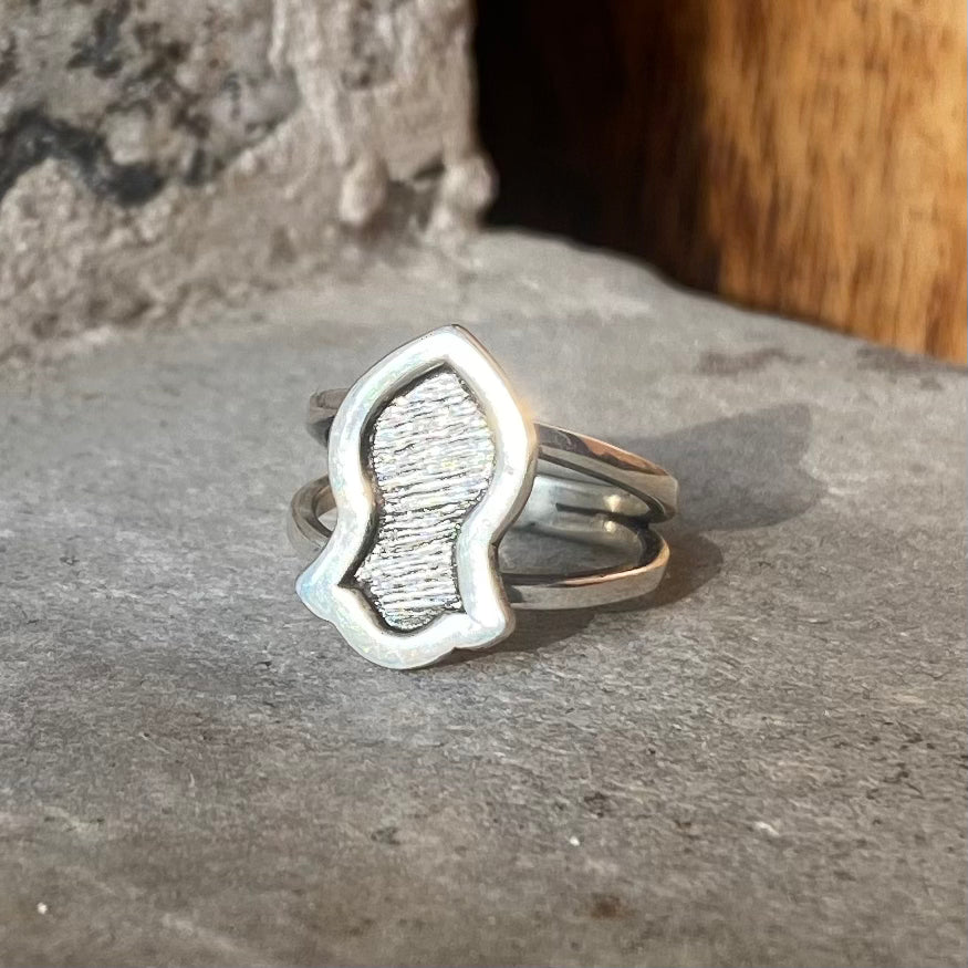 The Noble Sandal of the Prophet